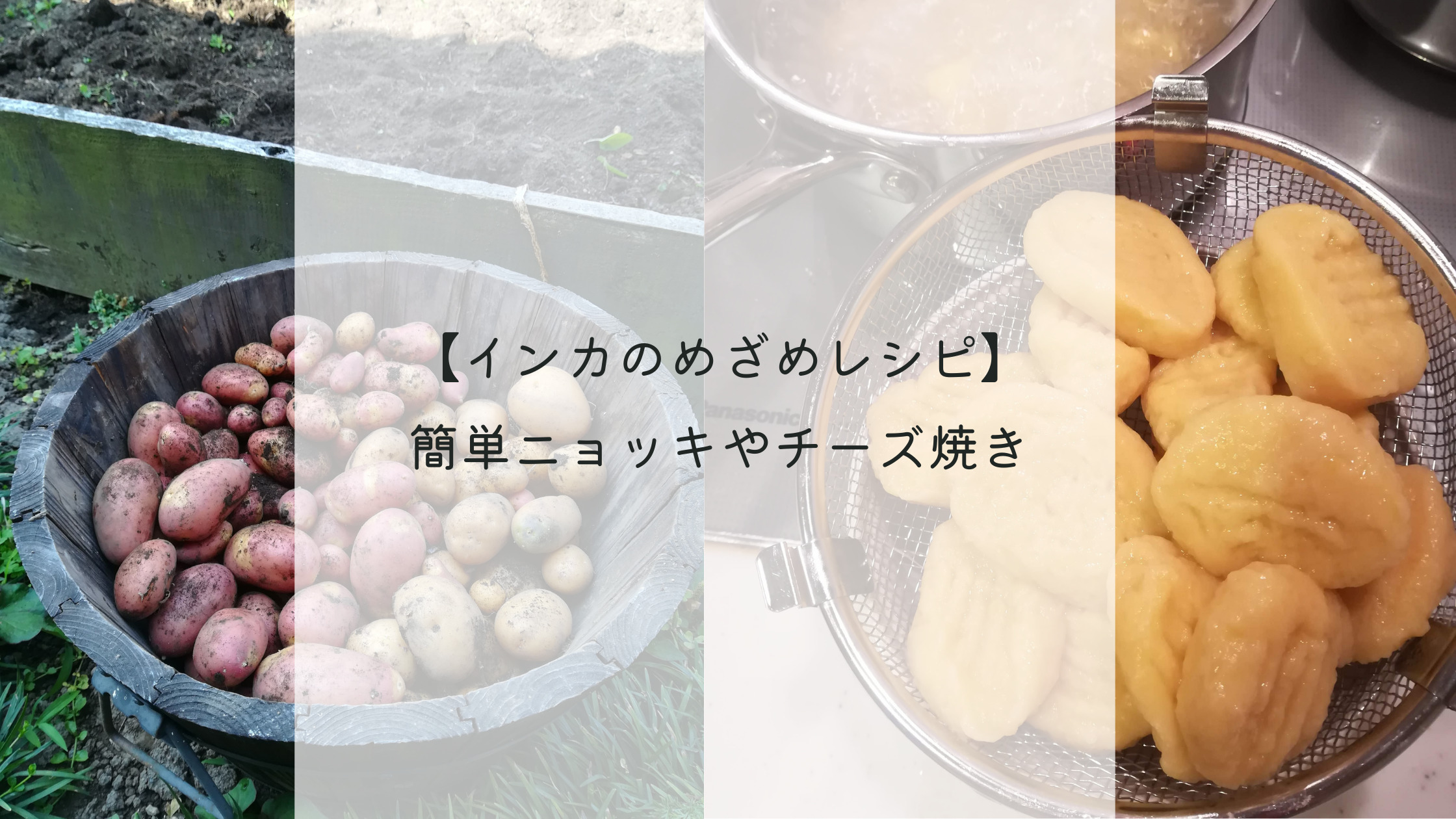 インカのめざめレシピ フードプロセッサーで簡単ニョッキやチーズ焼きなど Tayorako Kitchen