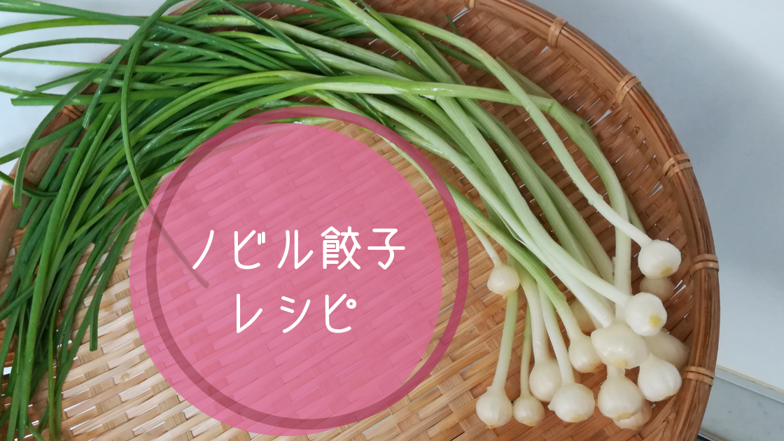 ノビル餃子レシピ Panasonicビストロで低脂質で美味しく Tayorako Kitchen